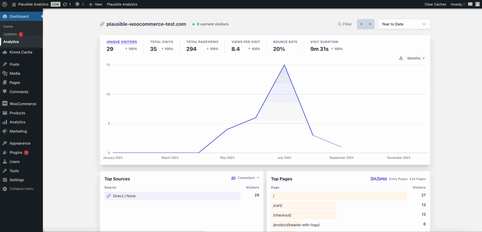 Plausible Analytics within a WordPress dashboard